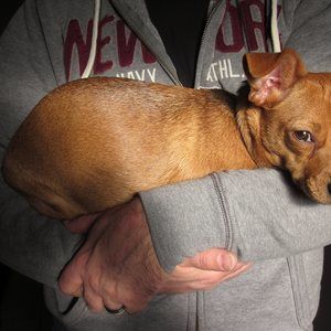 Meet your Posher, Kurt